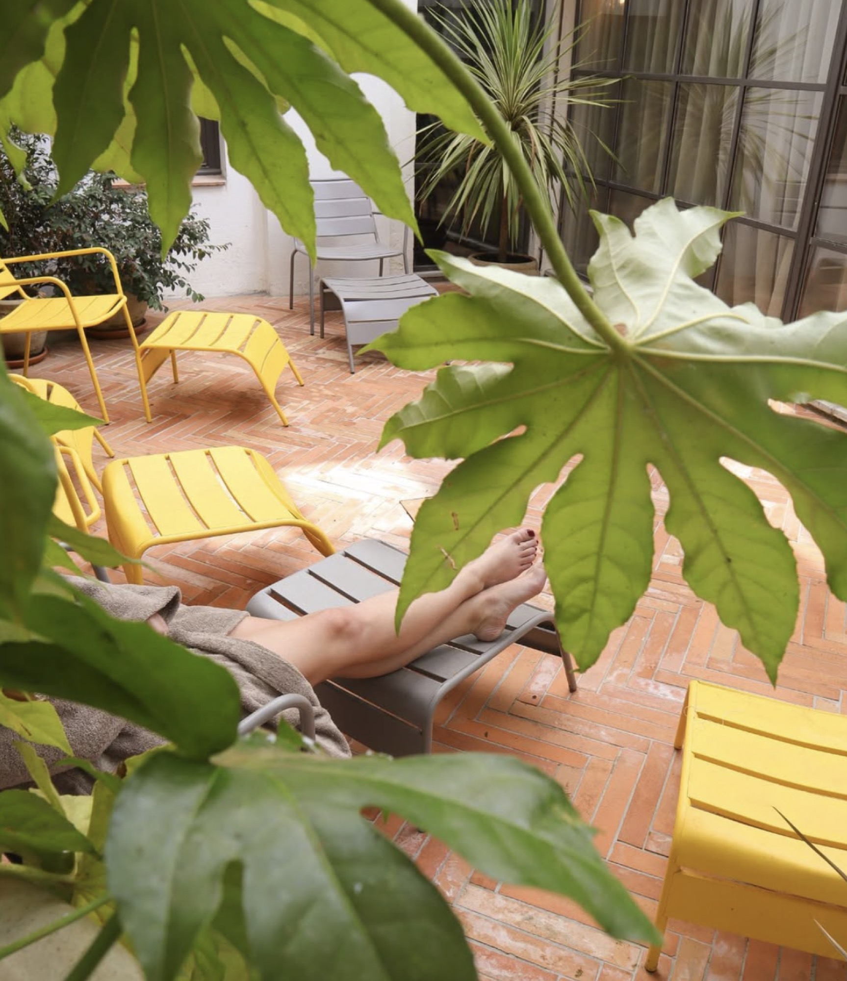 Le patio